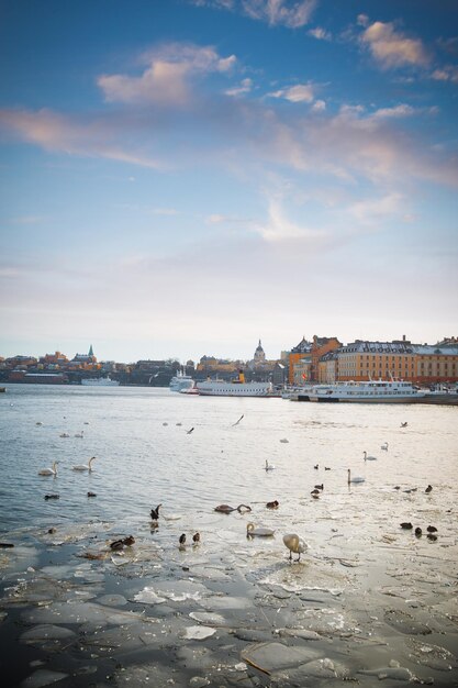 A view of Stockholm's gamla stan region