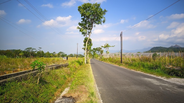 view of straight and lonely road in indonesia