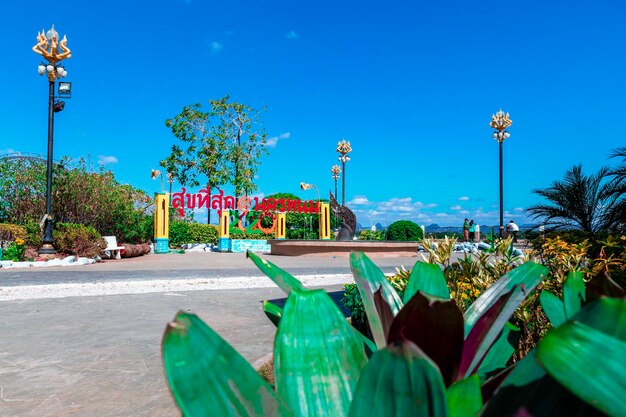 View of street amidst flowering plants against blue sky