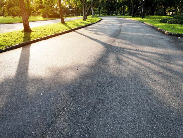 Foto vista della strada nel parco