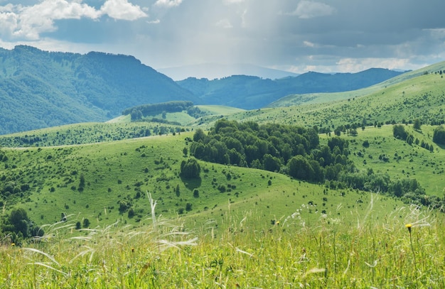 산 녹색 초원 산 경사면과 언덕에서 여름날의 전망