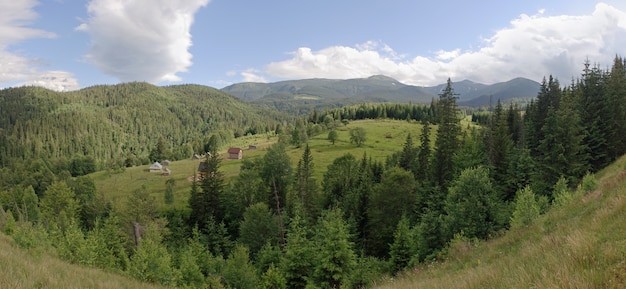 View of summer mountain valley