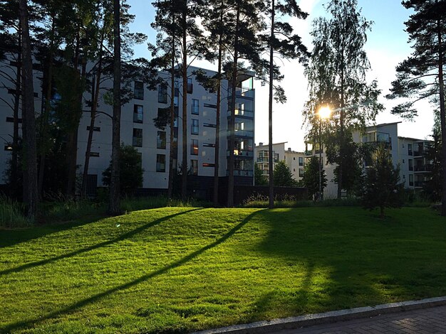 View of sunlit residential area