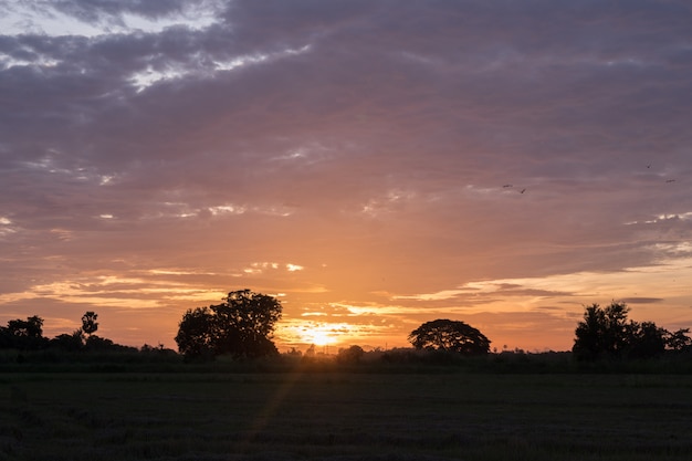 View sunrise in the morning 