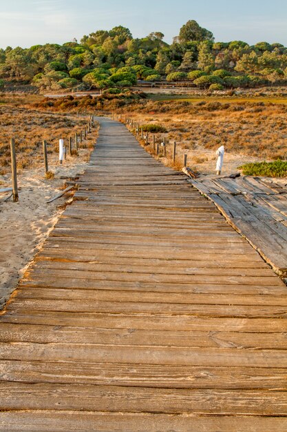 View of a sunset scenic view of a wooden walkway on the beach dunes of the Algarve, Portugal.