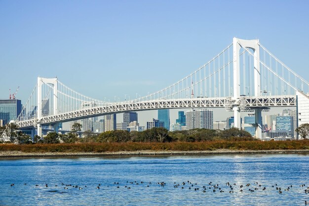 青い空を背景に吊り橋の景色