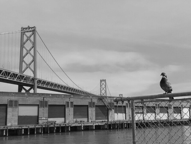 View of suspension bridge against sky