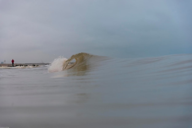 View of a swimming in sea