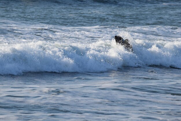 Photo view of swimming in sea