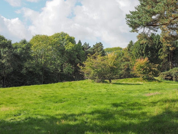 View of Tanworth in Arden