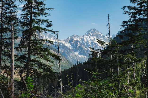 Vista sui monti tatra