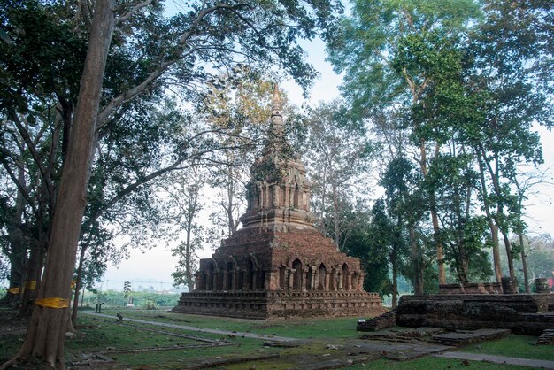 Foto vista del tempio contro gli alberi