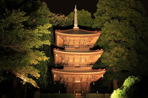 Photo view of temple building at night