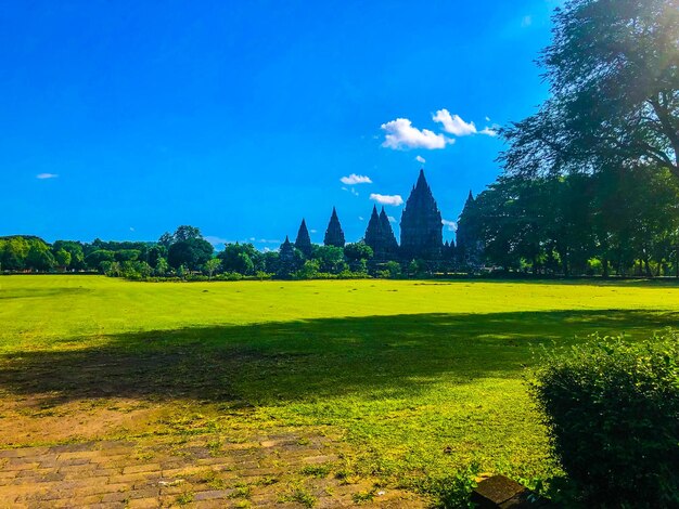 A view of the temple complex from the grounds