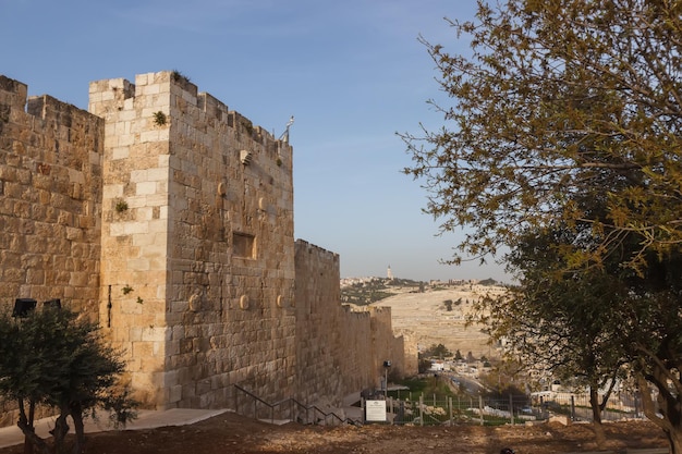 View of the Temple Mount and the south wall