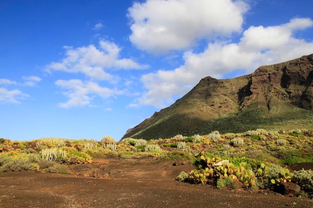 Foto vista dell'isola delle canarie di tenerife del sud della montagna di teno