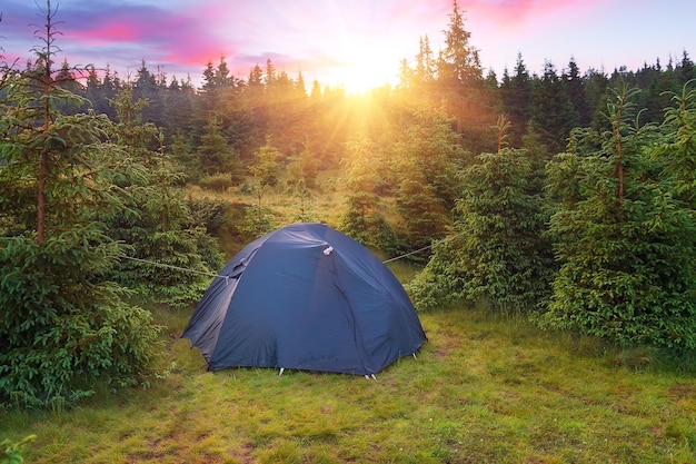 View of tent in forest at sunset or sunrise