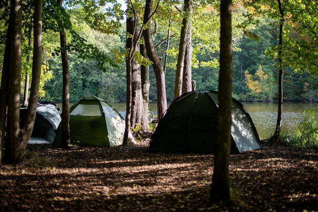 View of tent in forest