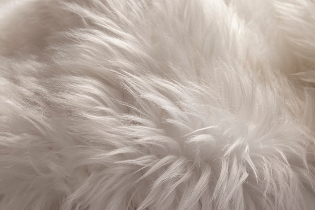 Photo view of textured fur fabric