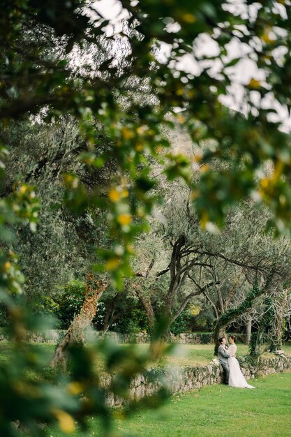 View through the green branches of hugging bride and groom stand near a stone fence in the garden