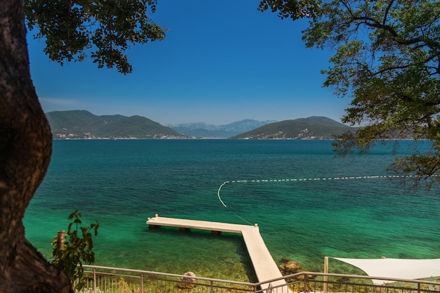 나무 사이로 코토르 만(Bay of Kotor)이 보입니다.