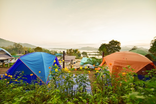 view of tourist tent on green meadow at sunrise or sunset. Camping background