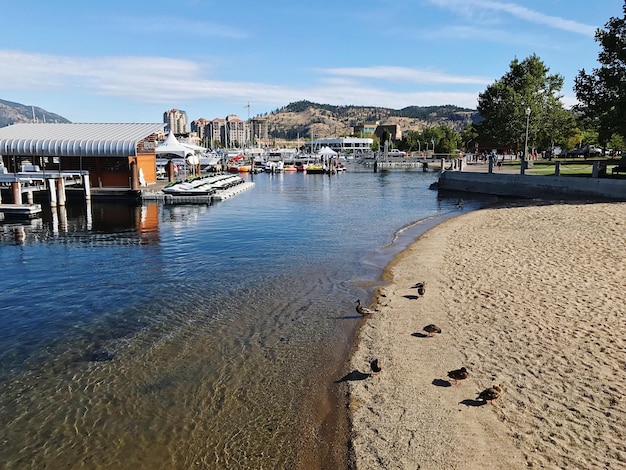 Foto vista dei turisti sulla spiaggia