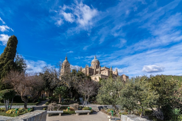 View of the tower and the dome of the cathedral of Salamanca from the Huerto de Calixto y Melibea