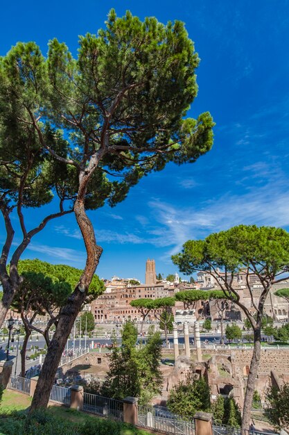 イタリア、ローマのトラヤヌスの市場で見る