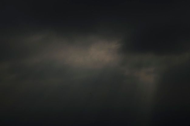 view of tree against sky