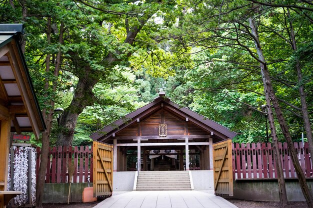 View of trees against built structure