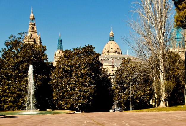 View of trees and building against sky