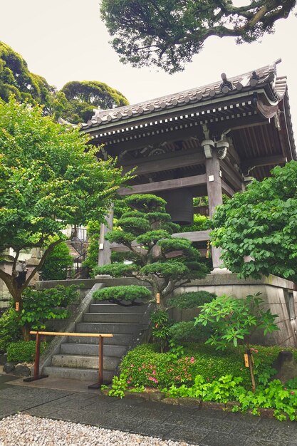 View of trees and building