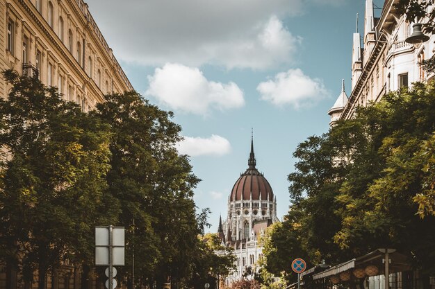 Photo view of trees and buildings against sky