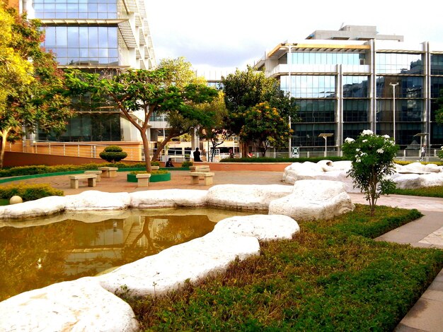 View of trees and buildings