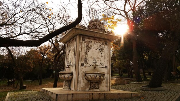 Foto vista degli alberi nel cimitero