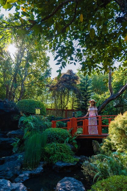 Photo view of trees in park