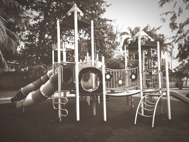 View of trees in playground