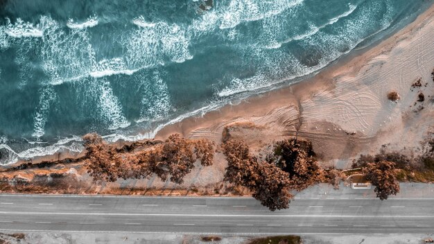 Photo view of trees on sea shore