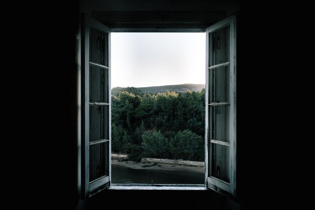 Foto la vista degli alberi vista dalla finestra