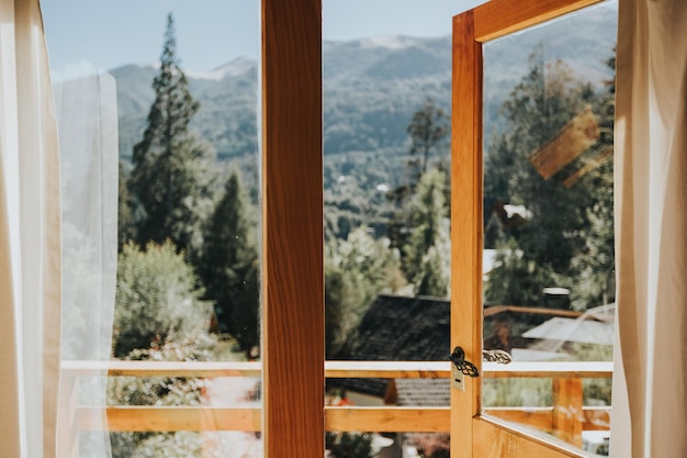 Photo view of trees through window