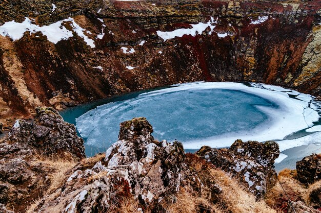 水中の木の景色