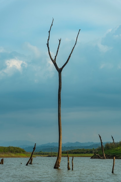 View of tropical forest field in Thailand