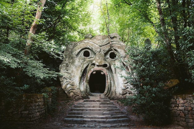 森の中のトンネルの景色