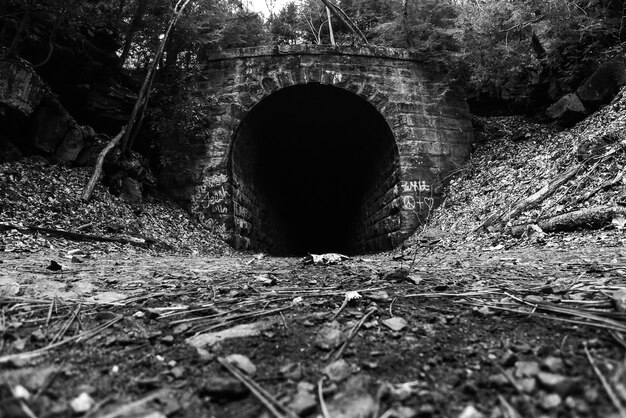 Photo view of tunnel