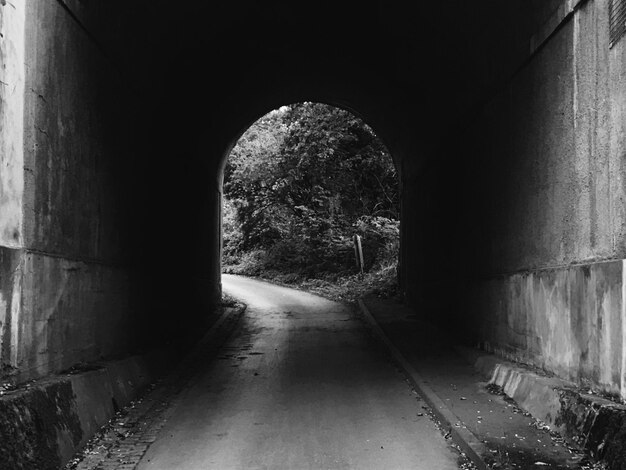 Photo below view of tunnel