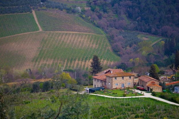 View of  typical Tuscan landscape and a valley with vineyards, in the province of Siena. Tuscany, Italy