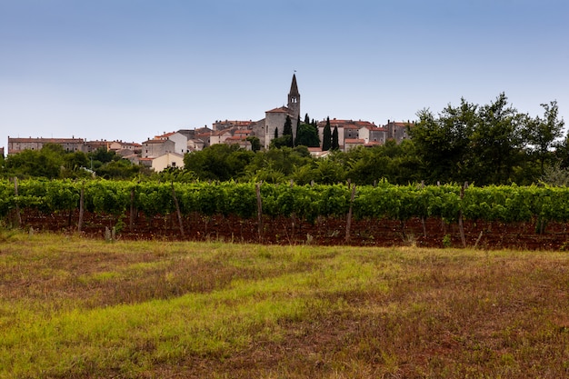 Photo view of valle, bale in istria. croatia