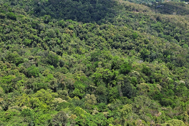 View of the valley of Kuranda, Cairns, Australia