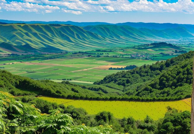 Photo view of the valley seen on the hill